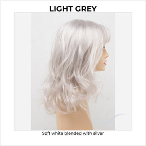 Harmony by Envy in Light Grey-Soft white blended with silver