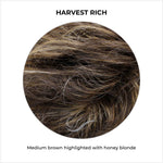 Load image into Gallery viewer, Harvest Rich-Medium brown highlighted with honey blonde
