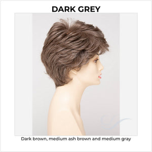Heather By Envy in Dark Grey-Dark brown, medium ash brown and medium gray
