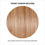 Load image into Gallery viewer, Honey Ginger (RL14/25)-Dark golden blonde with light gold highlights
