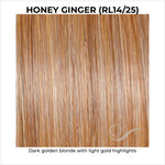 Load image into Gallery viewer, Honey Ginger (RL14/25)-Dark golden blonde with light gold highlights
