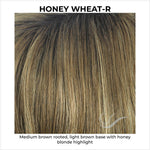 Load image into Gallery viewer, Honey Wheat-R-Medium brown rooted, light brown base with honey blonde highlight

