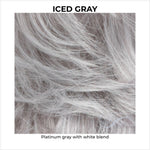 Load image into Gallery viewer, ICED GRAY-Platinum gray with white blend
