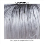 Load image into Gallery viewer, Illumina-R-Dark brownish purple root with silver
