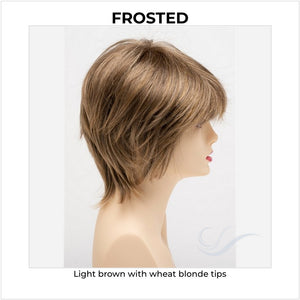 Jane by Envy in Frosted-Light brown with wheat blonde tips