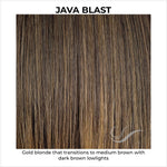 Load image into Gallery viewer, Java Blast-Gold blonde that transitions to medium brown with dark brown lowlights

