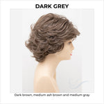 Load image into Gallery viewer, Kylie By Envy in Dark Grey-Dark brown, medium ash brown and medium gray
