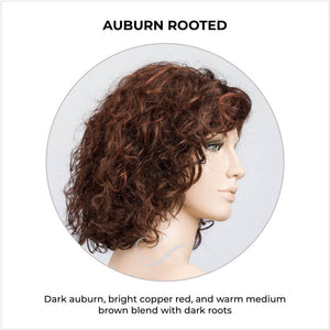 Loop by Ellen Wille in Auburn Rooted-Dark auburn, bright copper red, and warm medium brown blend with dark roots