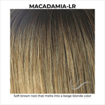 Load image into Gallery viewer, Macadamia-LR-Soft brown root that melts into a beige blonde color
