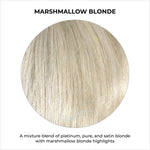 Load image into Gallery viewer, Marshmallow Blonde-A mixture blend of platinum, pure, and satin blonde with marshmallow blonde highlights

