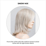 Load image into Gallery viewer, Melody by Ellen Wille in Snow Mix-Pure silver white with 10% medium brown &amp; silver white with 5% light brown blend
