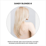 Load image into Gallery viewer, Music by Ellen Wille in Sandy Blonde-R-Medium blonde, light neutral blonde, and light strawberry blonde blend with shaded roots
