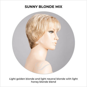 Napoli Soft by Ellen Wille in Sunny Blonde Mix-Light golden blonde and light neutral blonde with light honey blonde blend