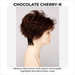 Load image into Gallery viewer, Olivia By Envy in Chocolate Cherry-R-Medium dark brown with auburn and copper highlights and dark brown roots
