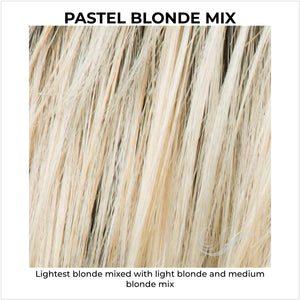 Pastel Blonde Mix-Lightest blonde mixed with light blonde and medium blonde mix