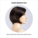 Load image into Gallery viewer, Piemonte Super by Ellen Wille in Dark Brown Mix-Black &amp; dark brown blend with darkest brown
