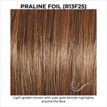 Load image into Gallery viewer, Praline Foil (R13F25)-Light golden brown with pale gold blonde highlights around the face
