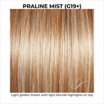 Load image into Gallery viewer, Praline Mist (G19+)-Light golden brown with light blonde highlights on top
