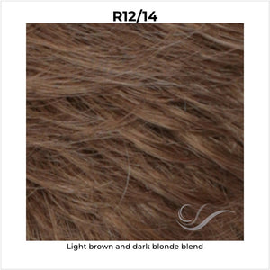 R12/14-Light brown and dark blonde blend