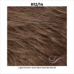Load image into Gallery viewer, R12/14-Light brown and dark blonde blend
