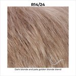 Load image into Gallery viewer, R14/24-Dark blonde and pale golden blonde blend
