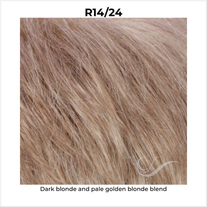 R14/24-Dark blonde and pale golden blonde blend