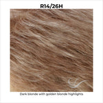 Load image into Gallery viewer, R14/26H-Dark blonde with golden blonde highlights
