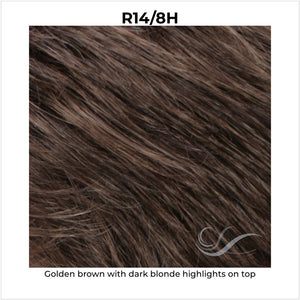 R14/8H-Golden brown with dark blonde highlights on top