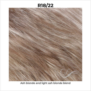 R18/22-Ash blonde and light ash blonde blend