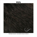 Load image into Gallery viewer, R2/4-Darkest brown and dark brown blend
