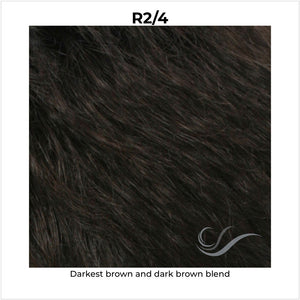 R2/4-Darkest brown and dark brown blend