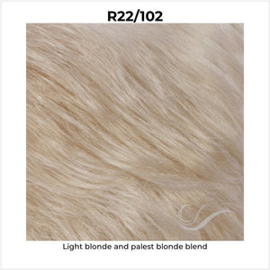 R22/102-Light blonde and palest blonde blend