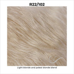 Load image into Gallery viewer, R22/102-Light blonde and palest blonde blend

