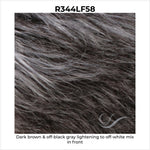 Load image into Gallery viewer, R344LF58-Dark brown &amp; off-black gray lightening to off-white mix in front
