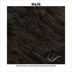 Load image into Gallery viewer, R4/6-Dark brown and chestnut brown blend
