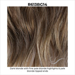 Load image into Gallery viewer, R613BG14-Dark blonde with fine pale blonde highlights &amp; pale blonde tipped ends
