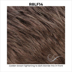 Load image into Gallery viewer, R8LF14-Golden brown lightening to dark blonde mix in front
