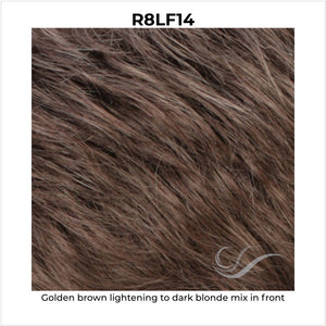 R8LF14-Golden brown lightening to dark blonde mix in front