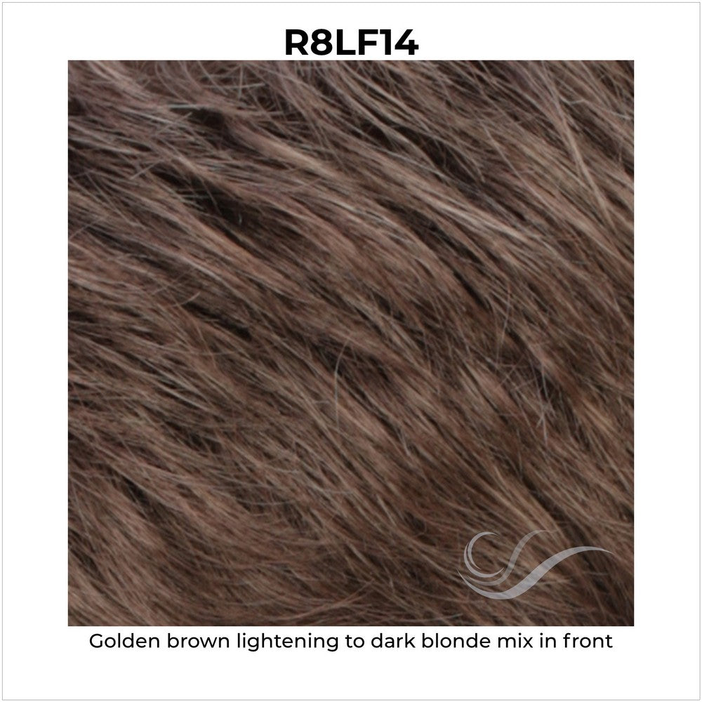 R8LF14-Golden brown lightening to dark blonde mix in front