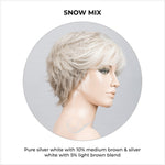 Load image into Gallery viewer, Relax by Ellen Wille in Snow Mix-Pure silver white with 10% medium brown &amp; silver white with 5% light brown blend
