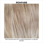 Load image into Gallery viewer, ROM1488-Dark blonde base with a subtle graduation to lightest blonde
