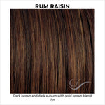 Load image into Gallery viewer, Rum Raisin-Dark brown and dark auburn with gold brown blend tips

