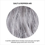Load image into Gallery viewer, Salt &amp; Pepper-MR-A perfect 50/50 blend of deep charcoal gray and light alabaster gray tones with micro root
