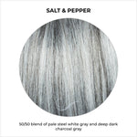 Load image into Gallery viewer, Salt &amp; Pepper-50/50 blend of pale steel white gray and deep dark charcoal gray
