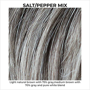 Salt/Pepper Mix-Light natural brown with 75% gray,medium brown with 70% gray and pure white blend