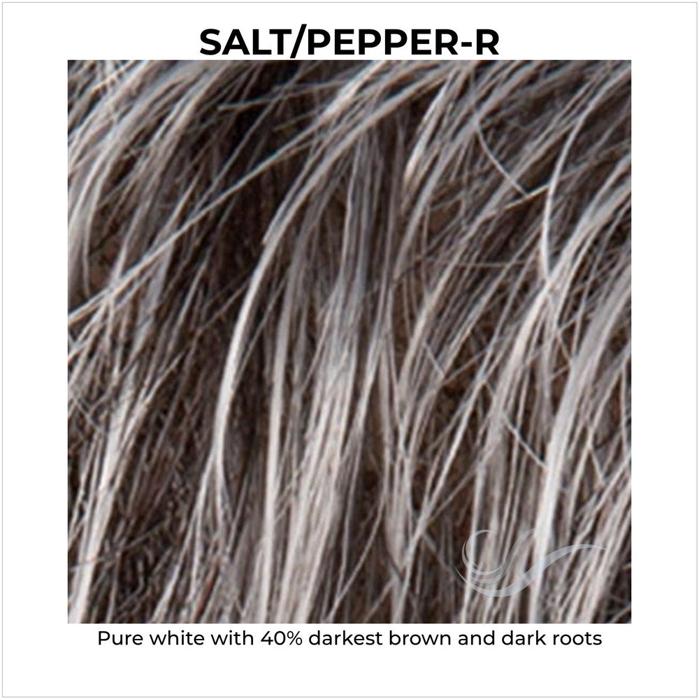 Salt/Pepper-R-Pure white with 40% darkest brown and dark roots