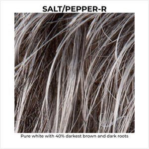 Salt/Pepper-R-Pure white with 40% darkest brown and dark roots