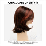 Load image into Gallery viewer, Sam by Envy in Chocolate Cherry-R-Medium dark brown with auburn and copper highlights and dark brown roots
