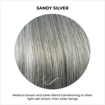 Load image into Gallery viewer, Sandy Silver-Medium brown and silver blend transitioning to silver light ash brown, then silver bangs
