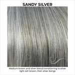 Load image into Gallery viewer, Sandy Silver-Medium brown and silver blend transitioning to silver light ash brown, then silver bangs

